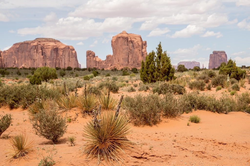 Why Dental and Vision Insurance Matter: Benefits and the Importance of Oral Health monument valley picture
